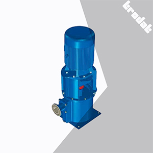 CLZ Series Vertical Centrifugal Marine Pump